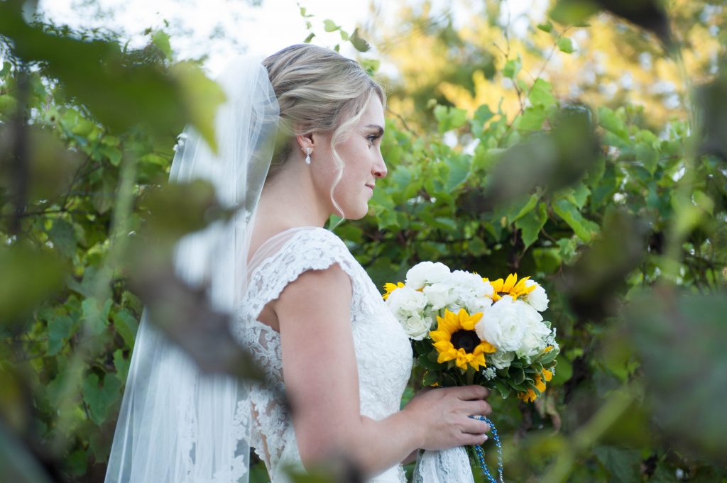 new jersey wedding photographer pastelimage portfolio